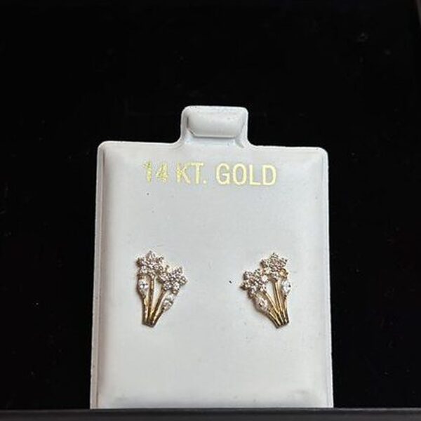 Colección de Joyería Aretes Oro14 Kt